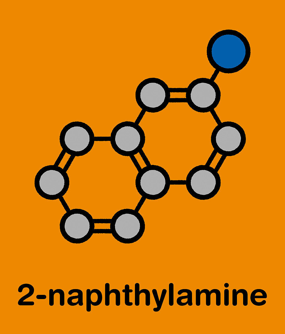 2-naphthylamine carcinogen molecule