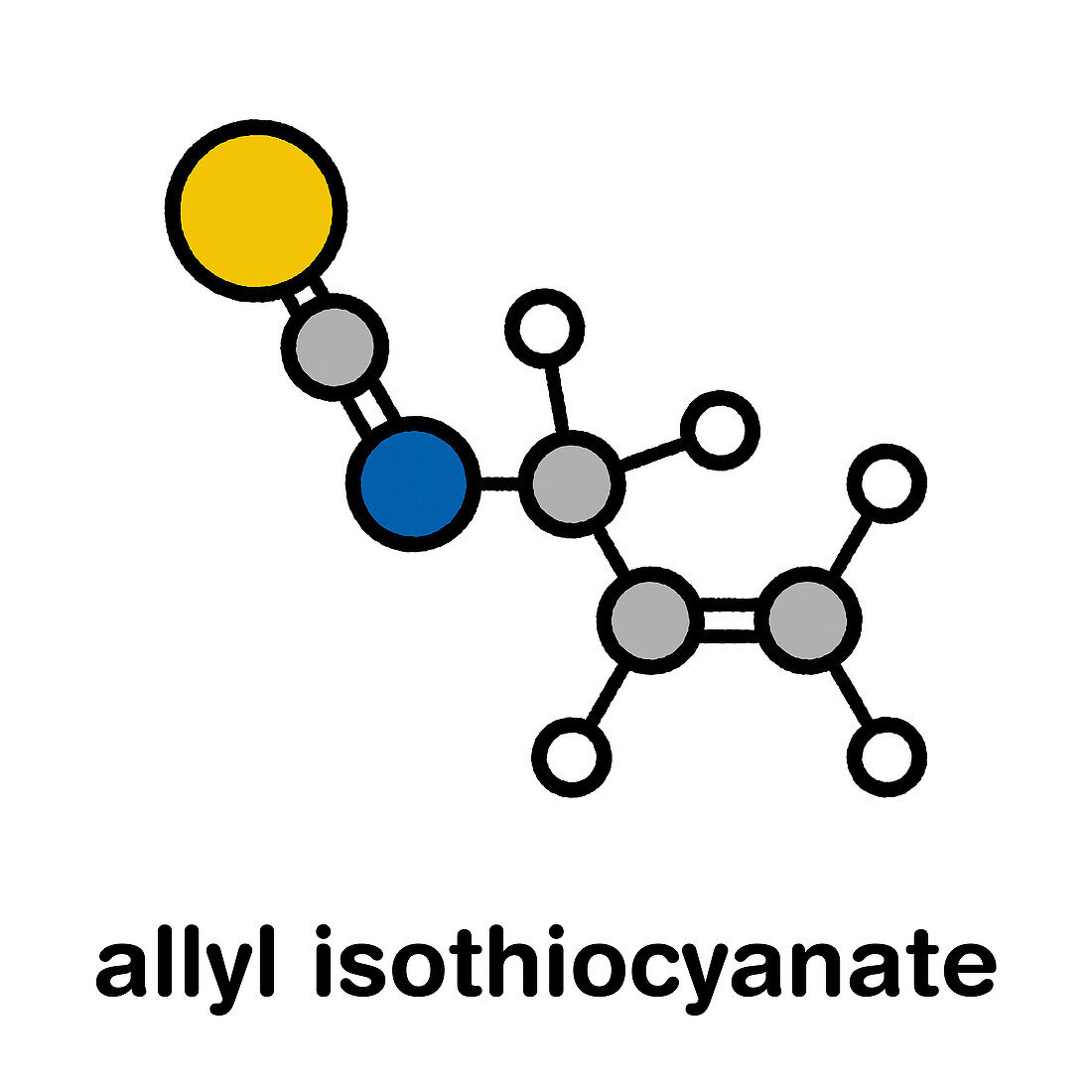 Allyl isothiocyanate mustard pungency molecule
