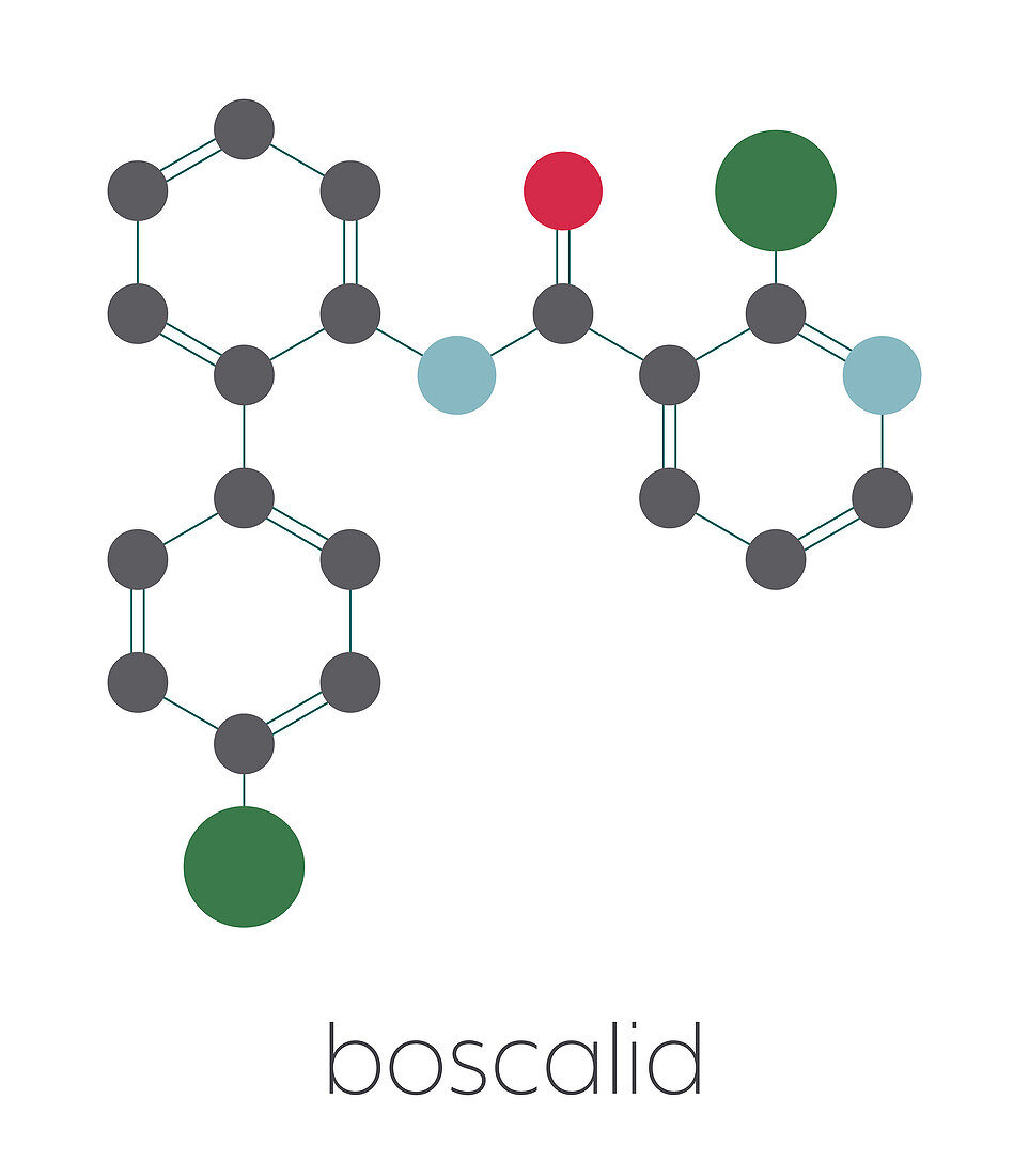 Boscalid fungicide molecule