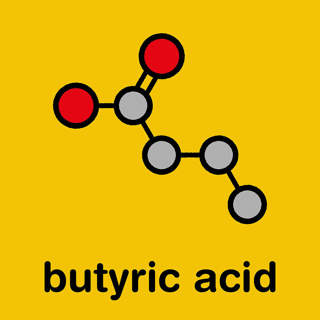 Butyric acid short-chain fatty acid molecule
