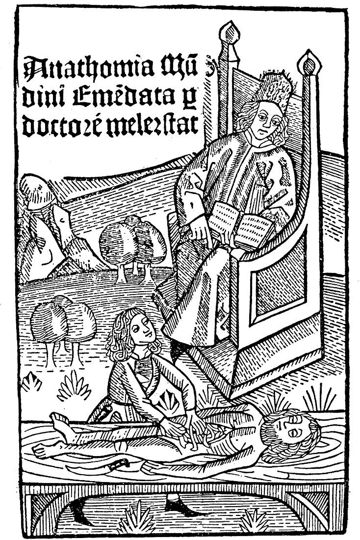 Anatomy demonstration, 1493
