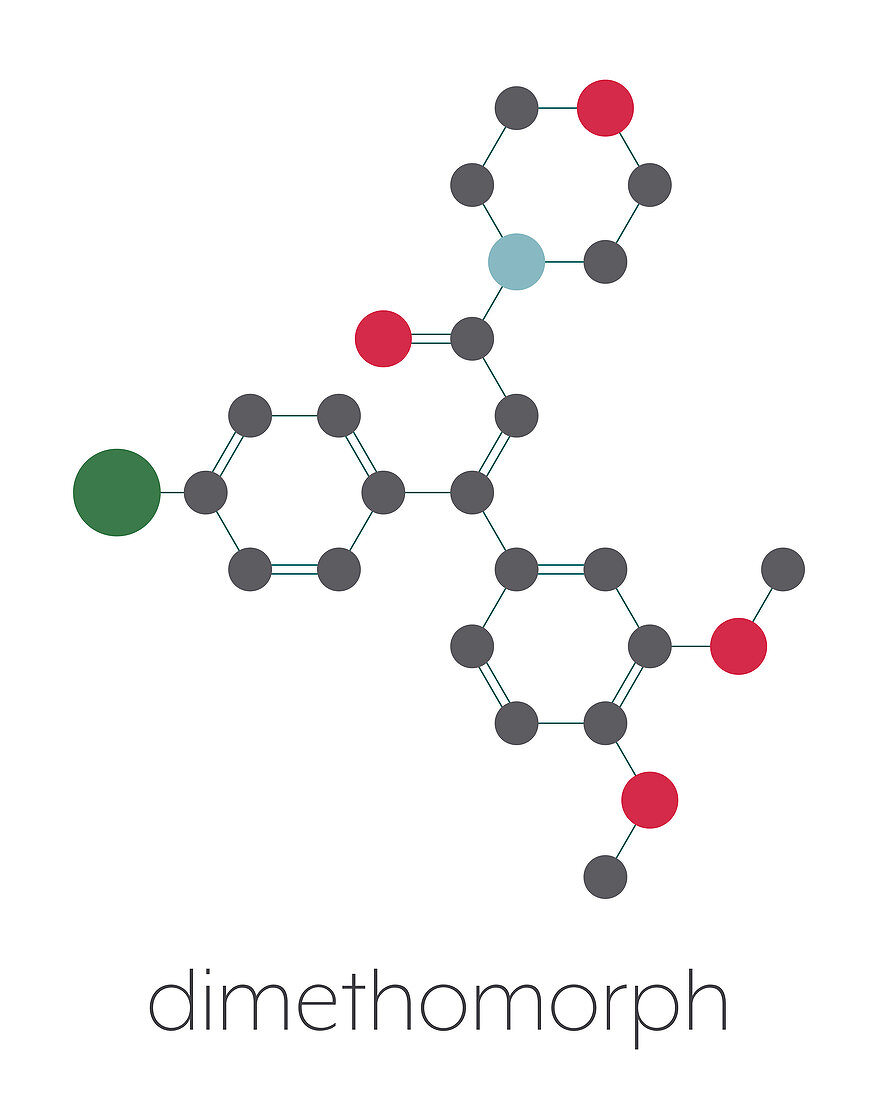 Dimethomorph fungicide molecule