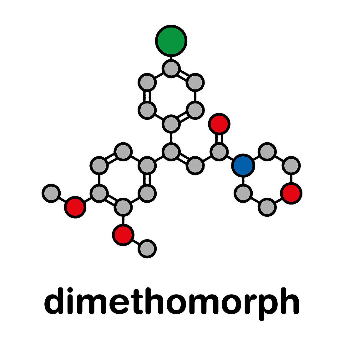 Dimethomorph fungicide molecule