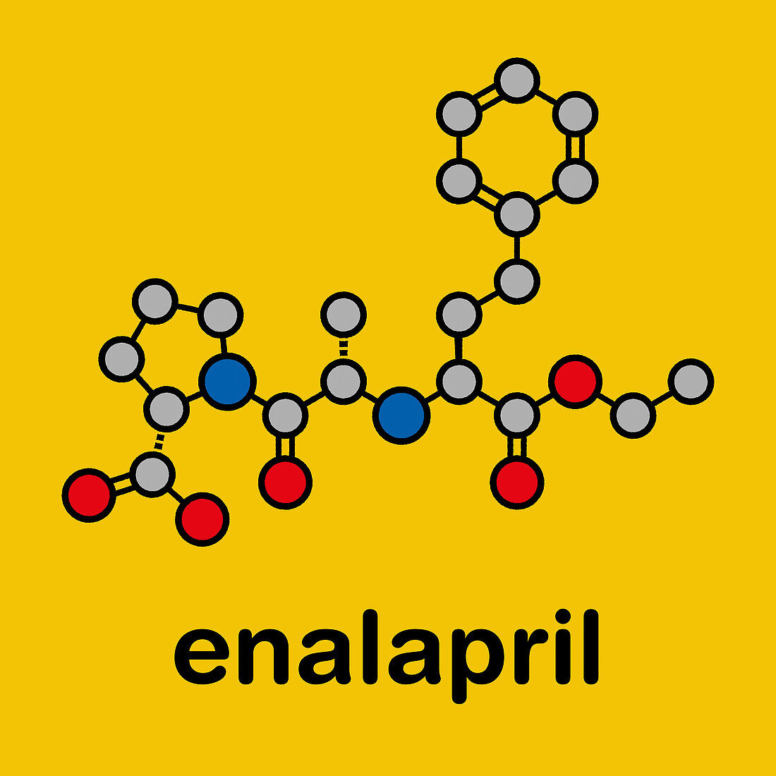 Enalapril high blood pressure drug molecule