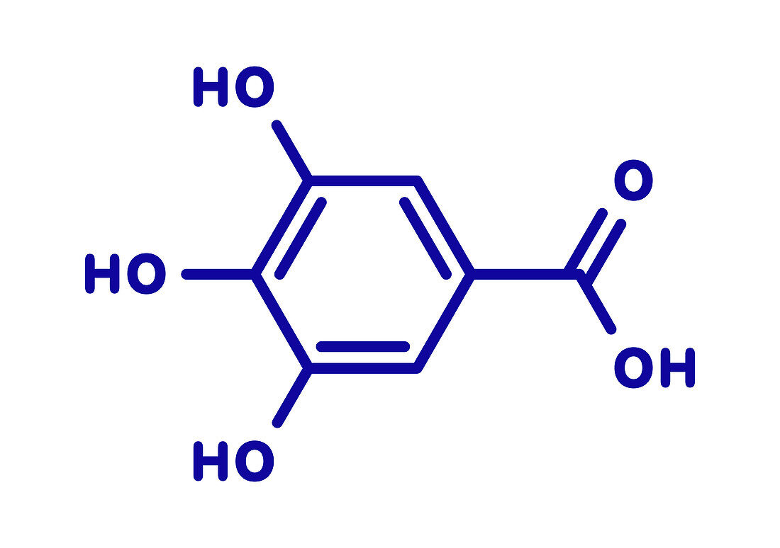 Gallic acid molecule