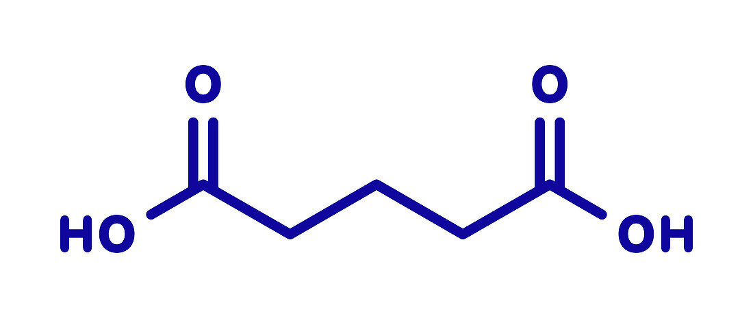 Glutaric acid molecule