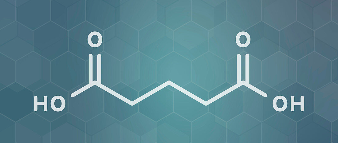 Glutaric acid molecule