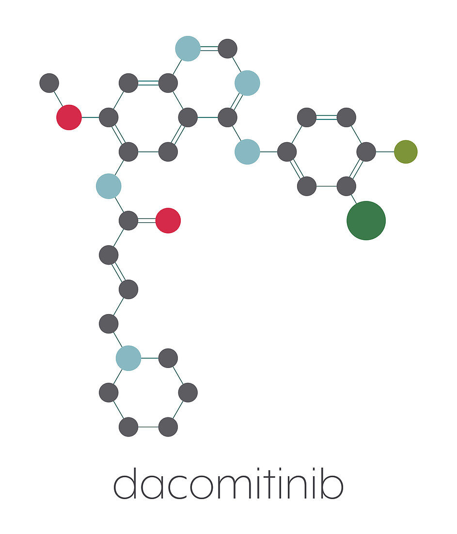 Dacomitinib cancer drug molecule