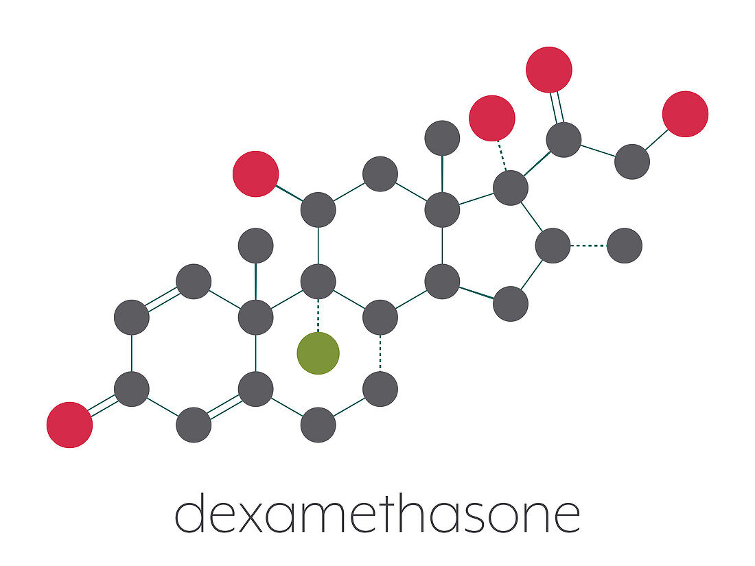 Dexamethasone glucocorticoid drug