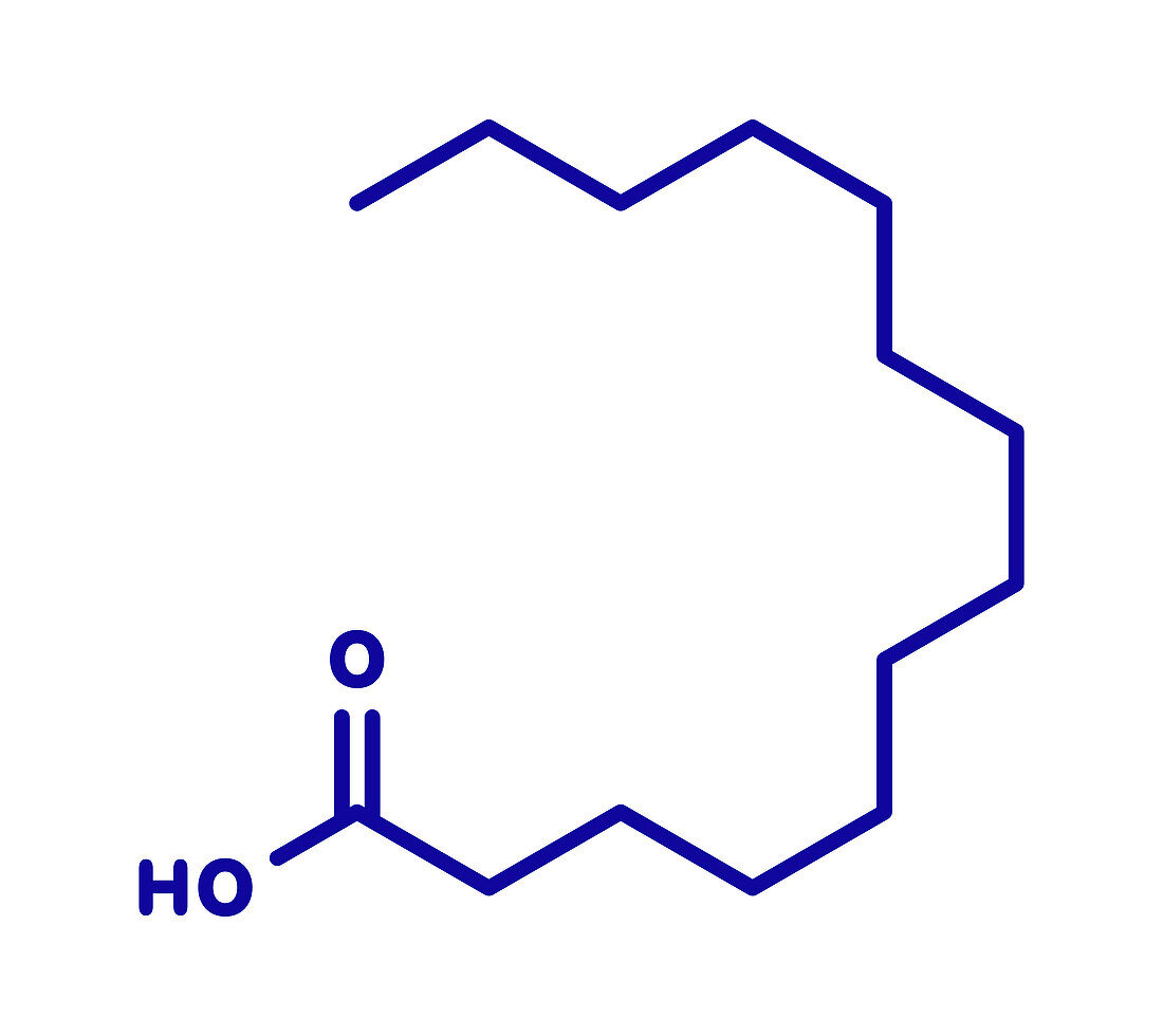 Myristic acid saturated fatty acid molecule