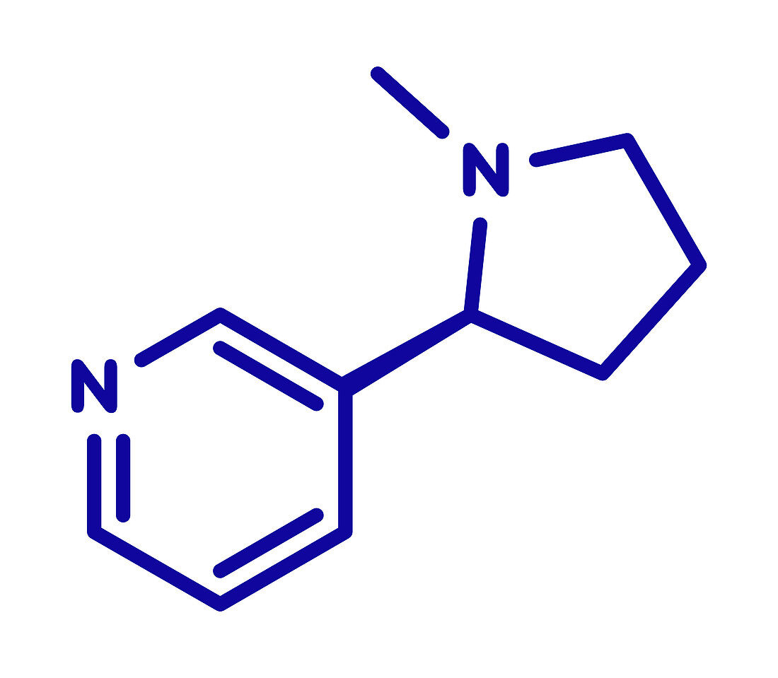 Nicotine tobacco stimulant molecule
