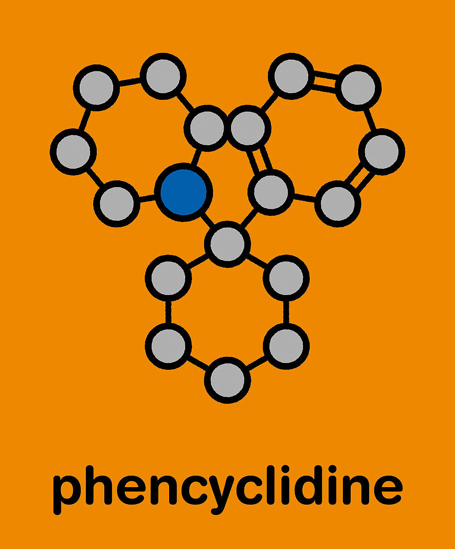 Phencyclidine hallucinogenic drug molecule