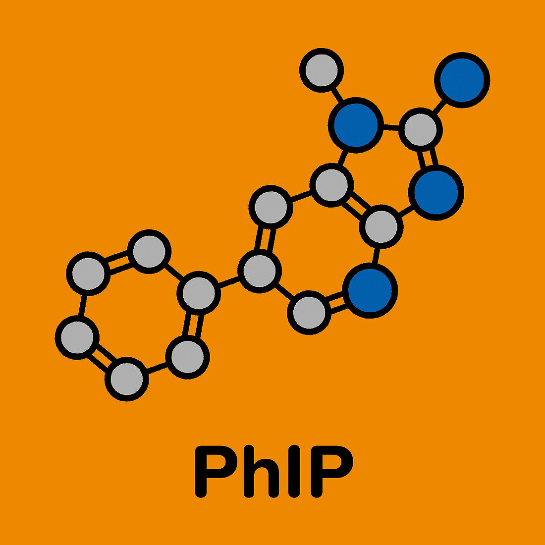 PhIP molecule