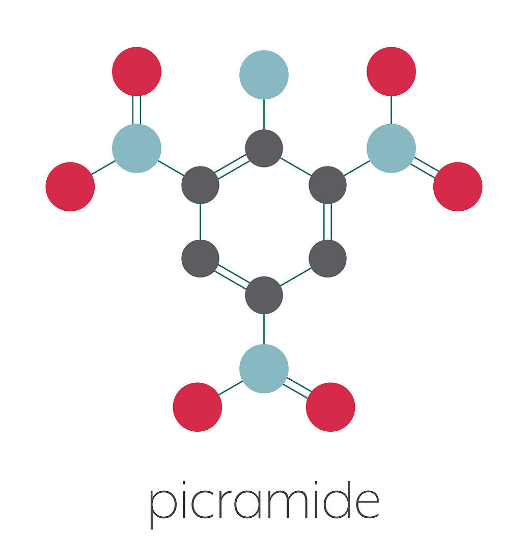 Picramide explosive molecule