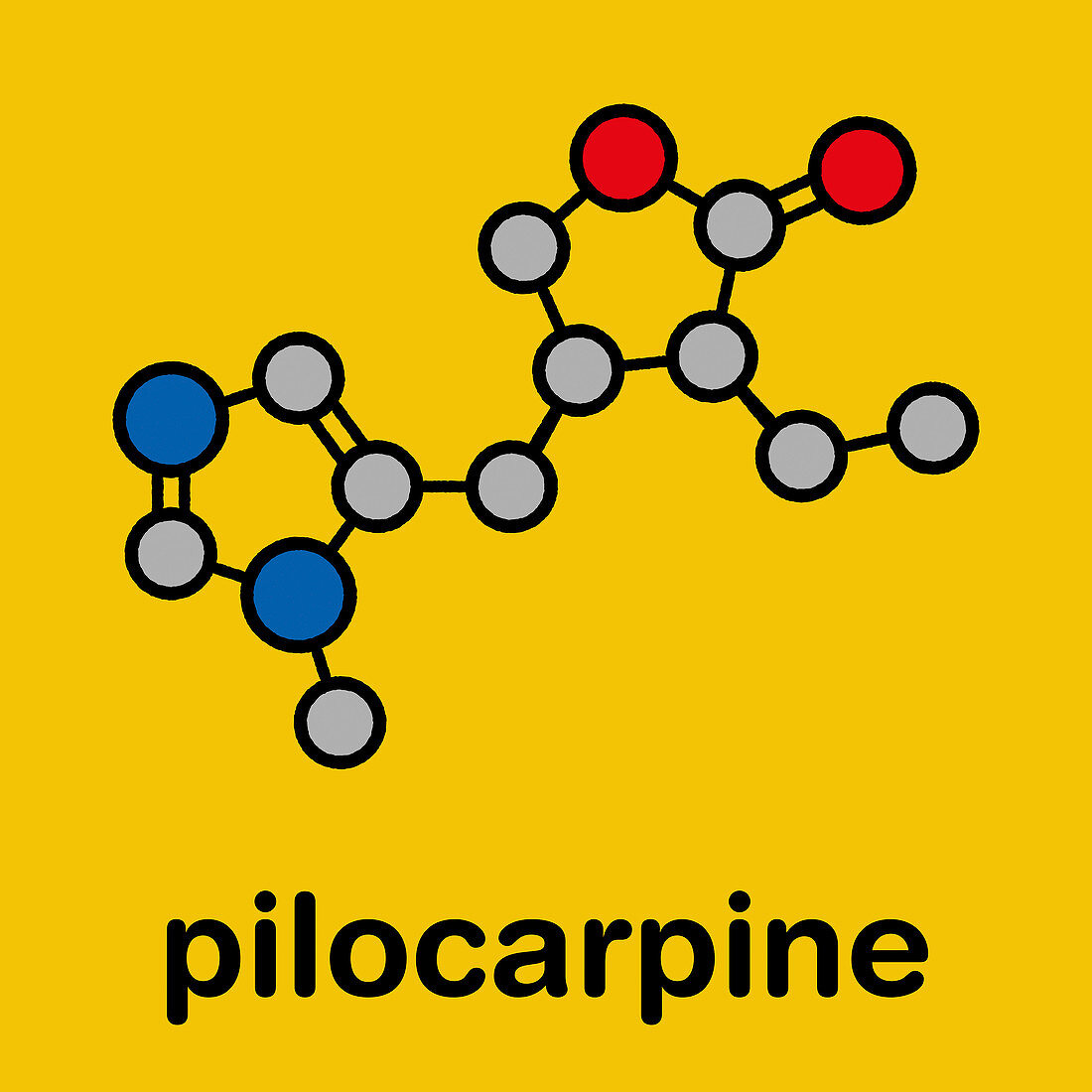 Pilocarpine drug molecule