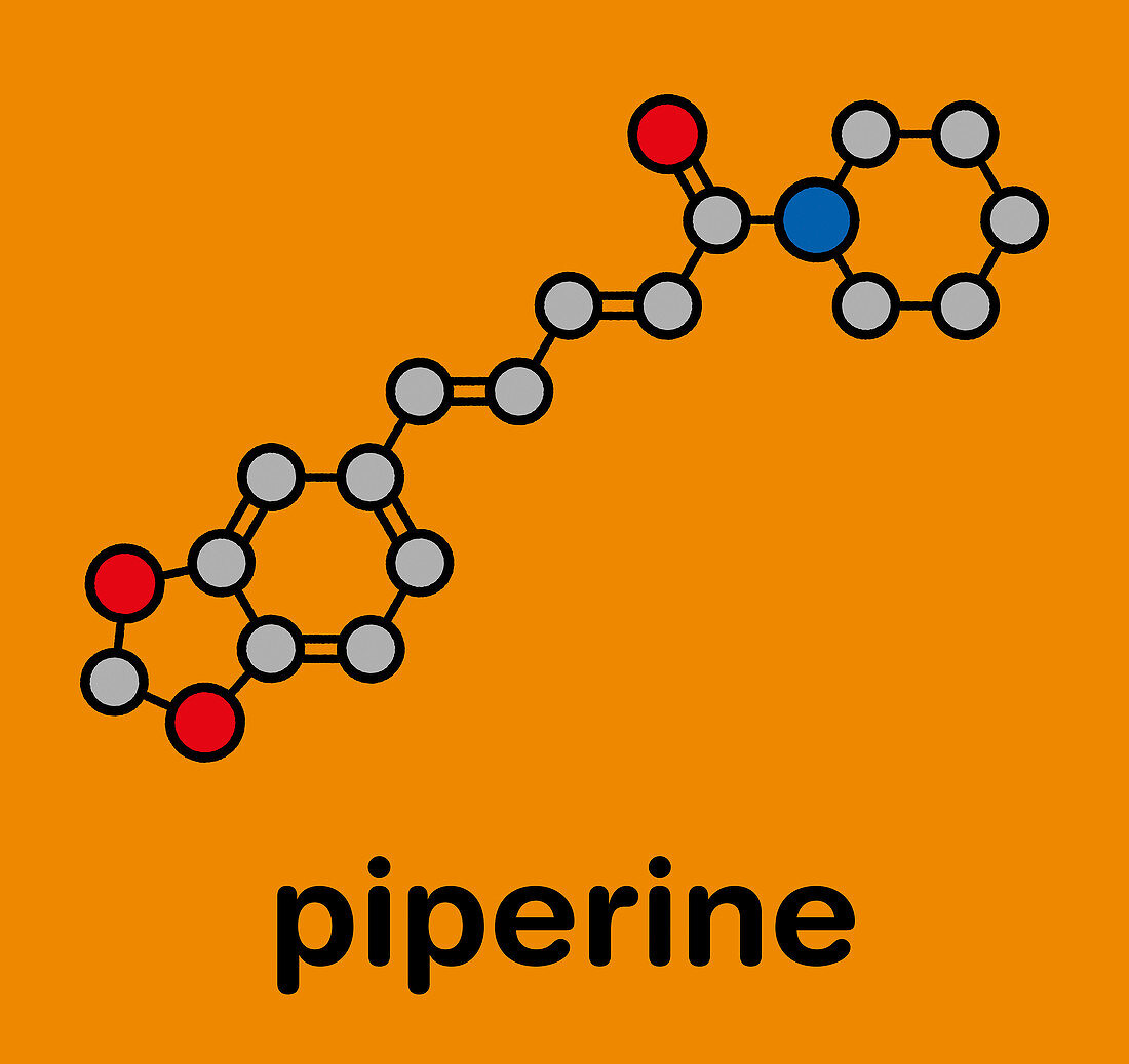 Piperine black pepper molecule