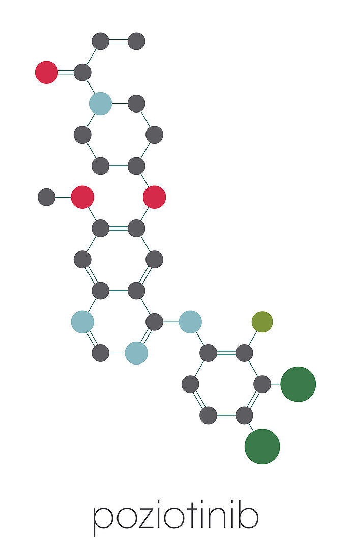 Poziotinib cancer drug molecule