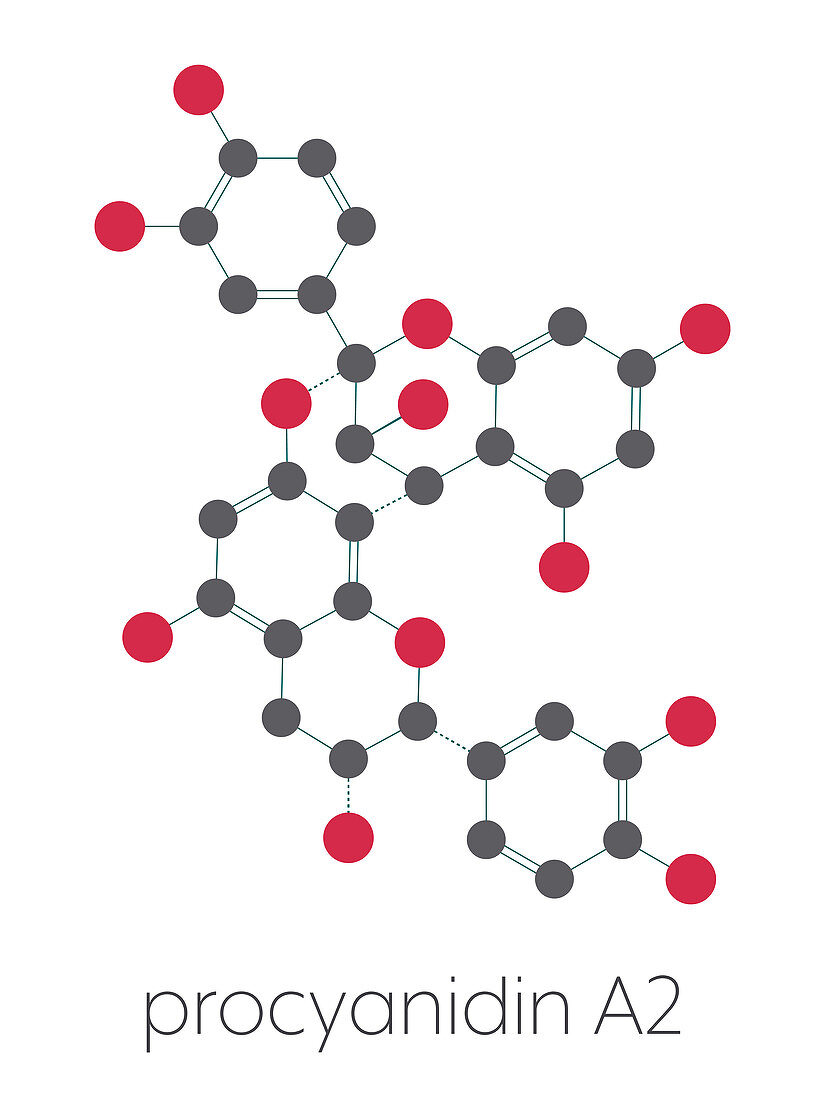 Proanthocyanidin A2 cranberry molecule