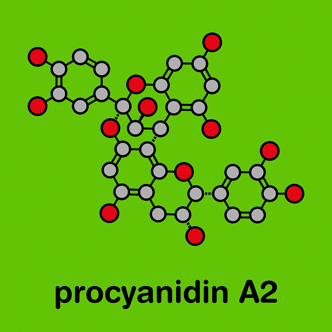 Proanthocyanidin A2 cranberry molecule