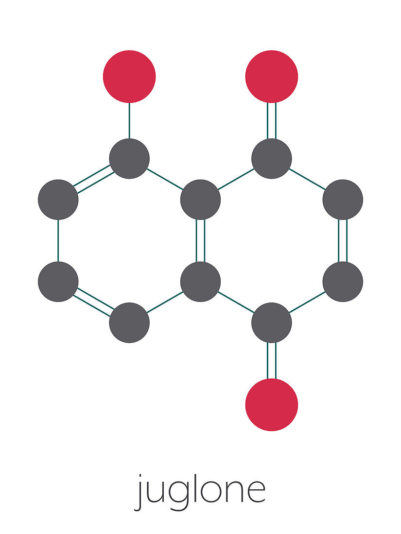 Juglone walnut molecule