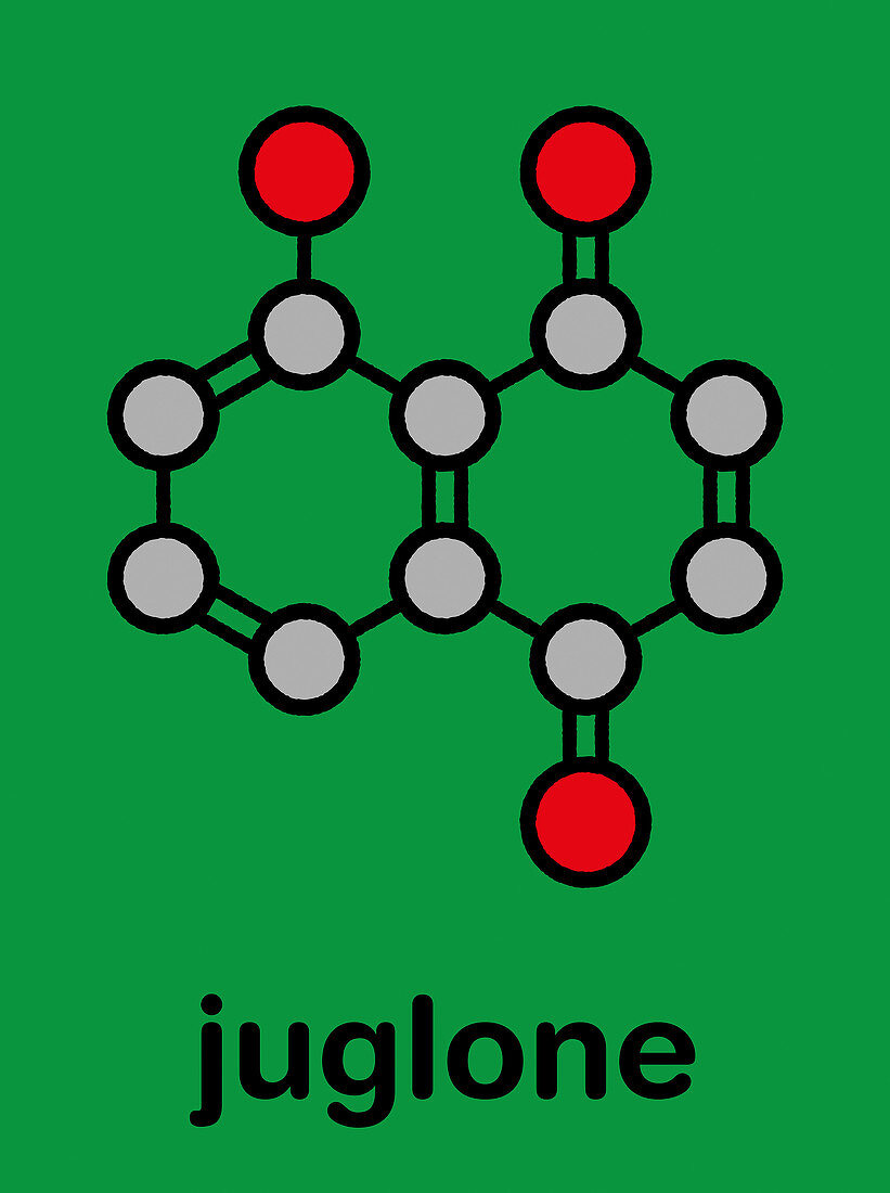 Juglone walnut molecule
