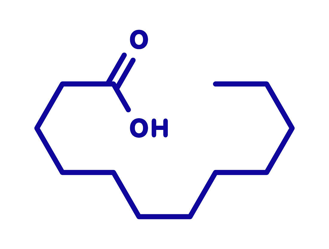 Lauric acid molecule