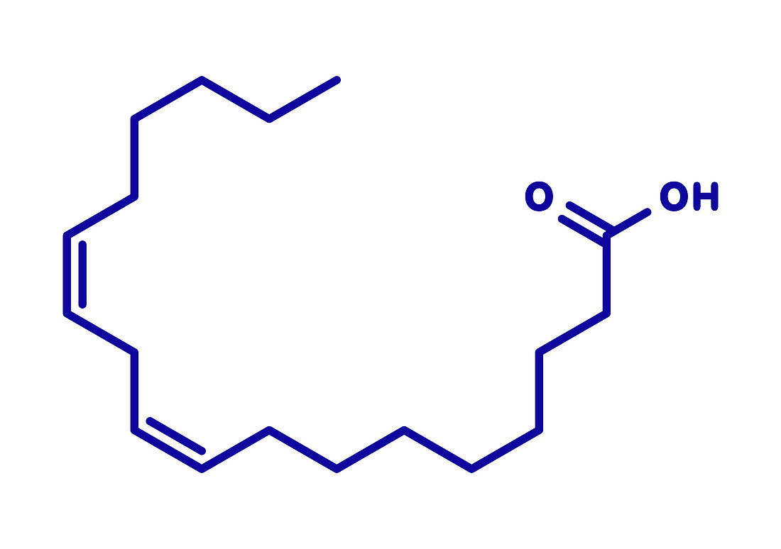 Linoleic acid molecule