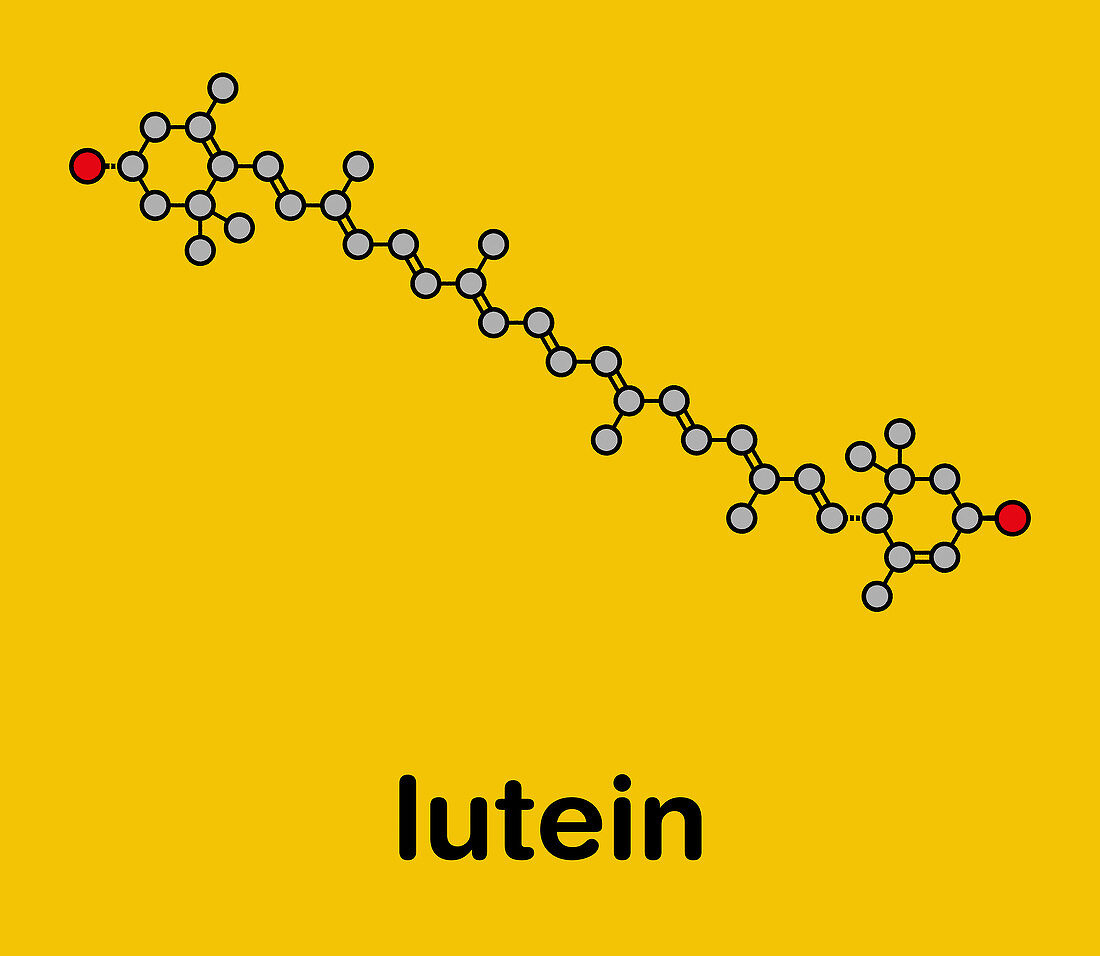 Lutein yellow-orange plant pigment molecule