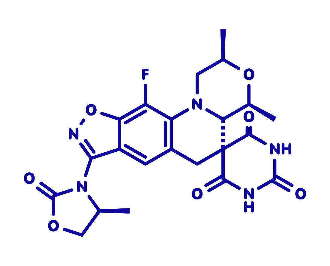 Zoliflodacin antibiotic drug molecule