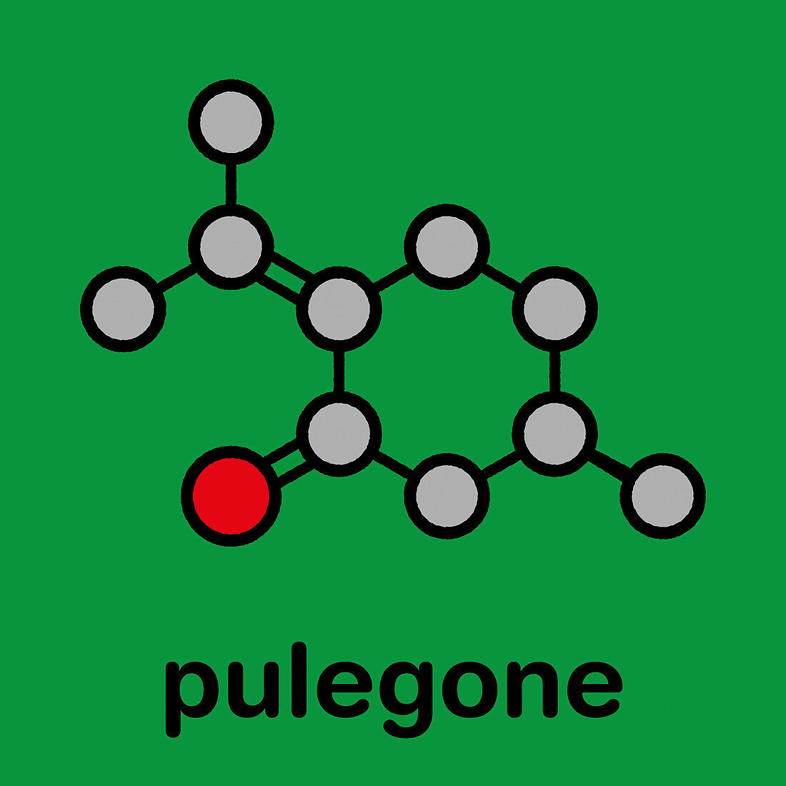 Pulegone molecule