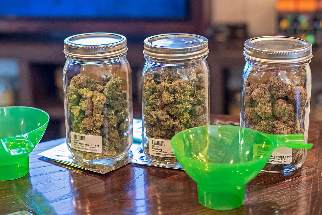 Medical marijuana dispensary jars