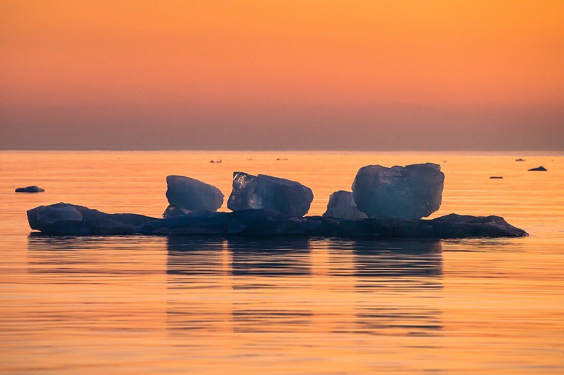 Ice floes at sunrise