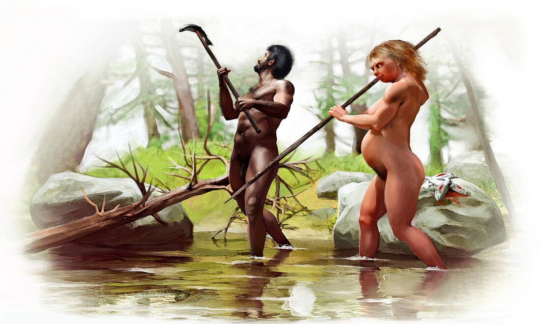 Neanderthal and human interbreeding, illustration