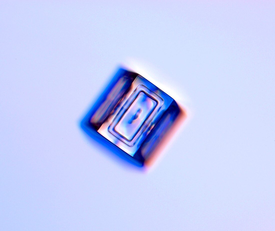 Snowflake simple crystal, light micrograph