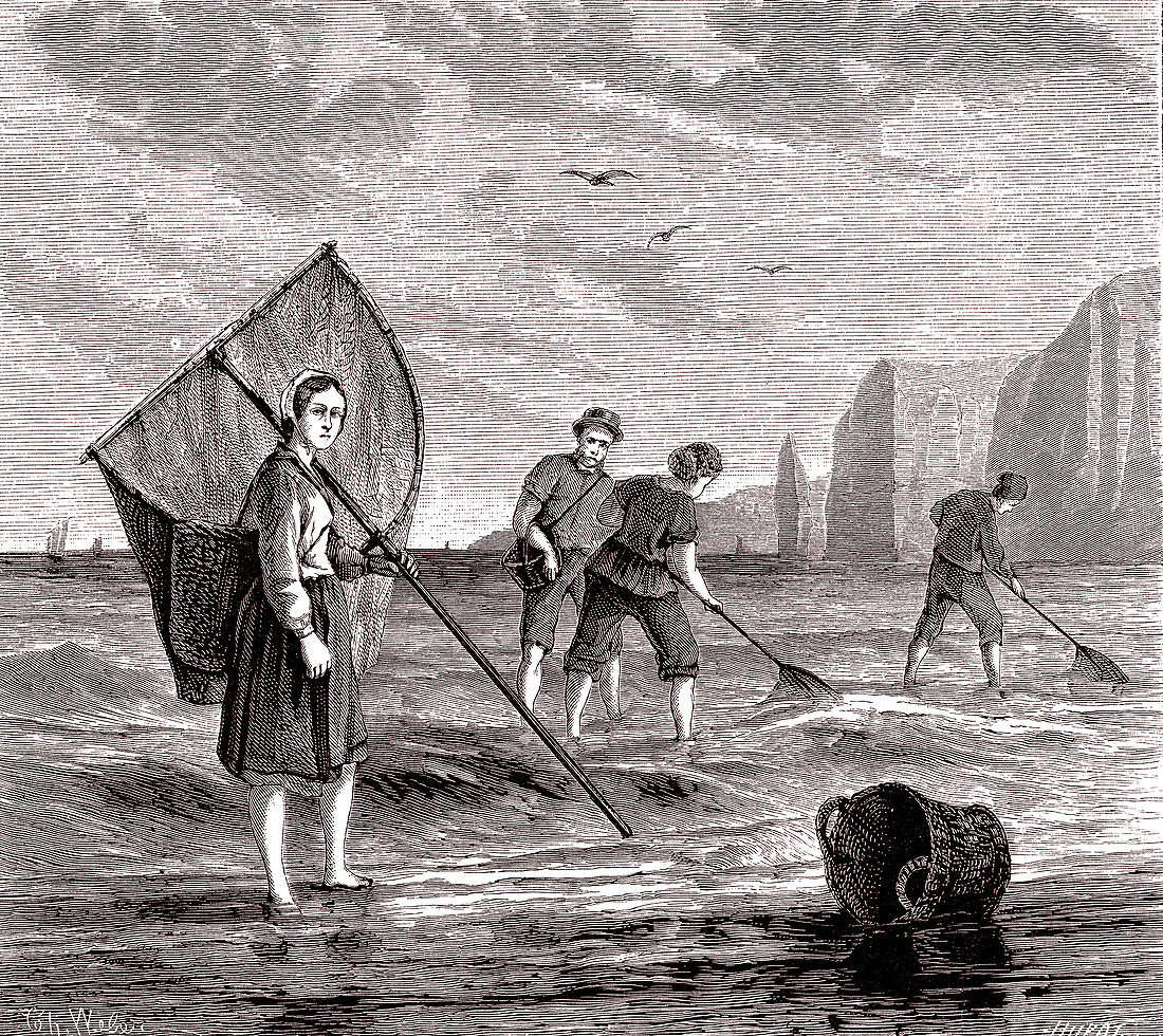 Fishing for shrimp, 19th century