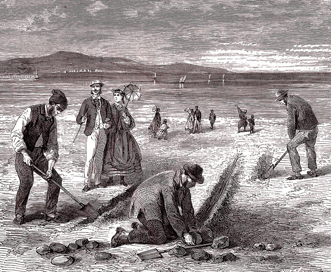 Preparing sand lines for fishing, 19th century