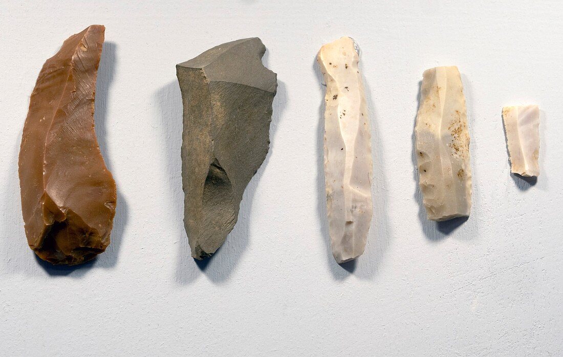 Neolithic flint scrapers