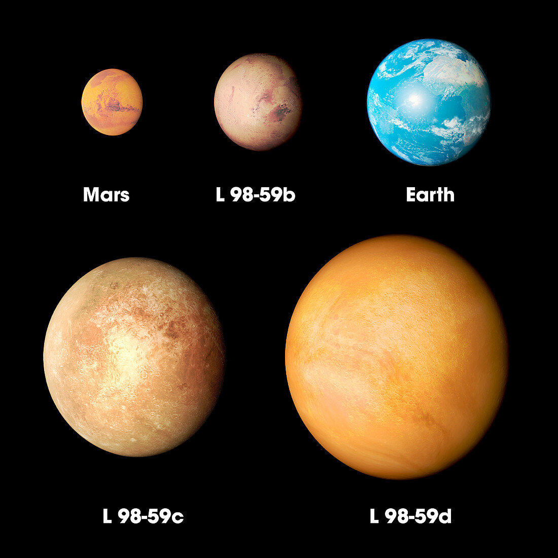 L 98-59 exoplanets size comparison, illustration