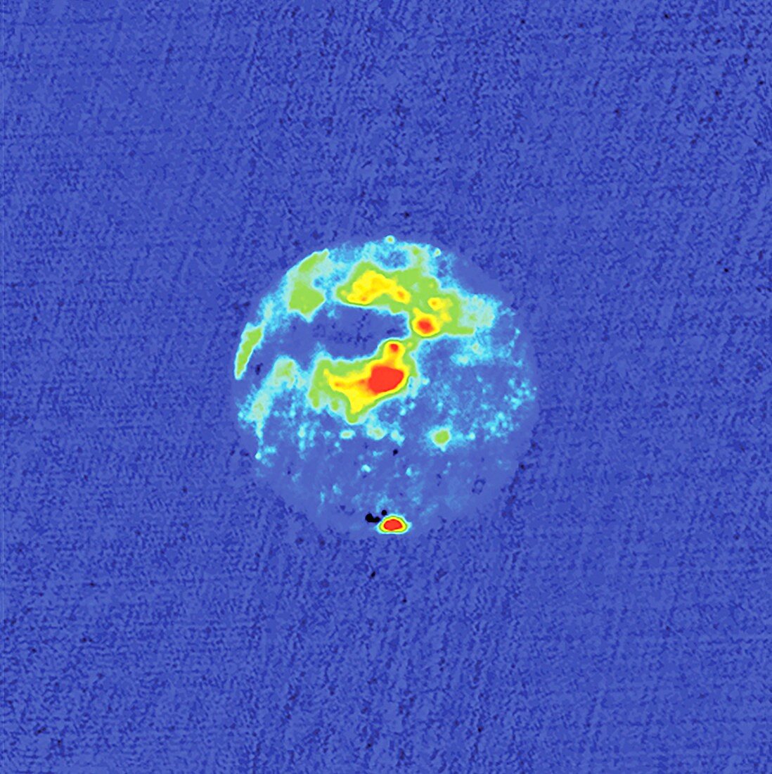 Radar image of Mars, 1988