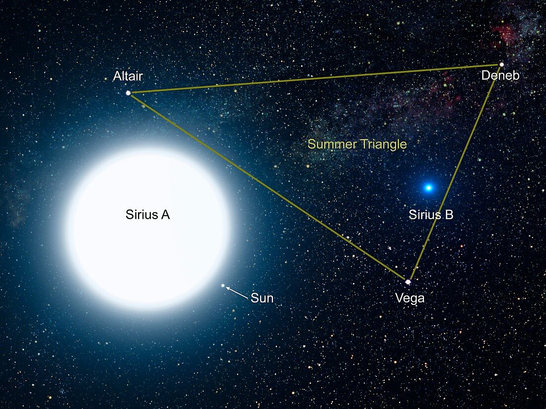 Sirius binary star system, illustration
