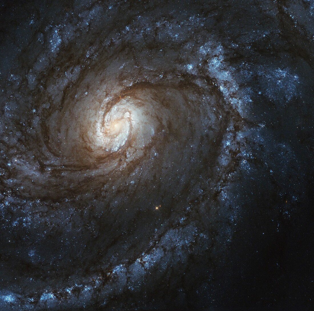 M100 spiral galaxy, Hubble image
