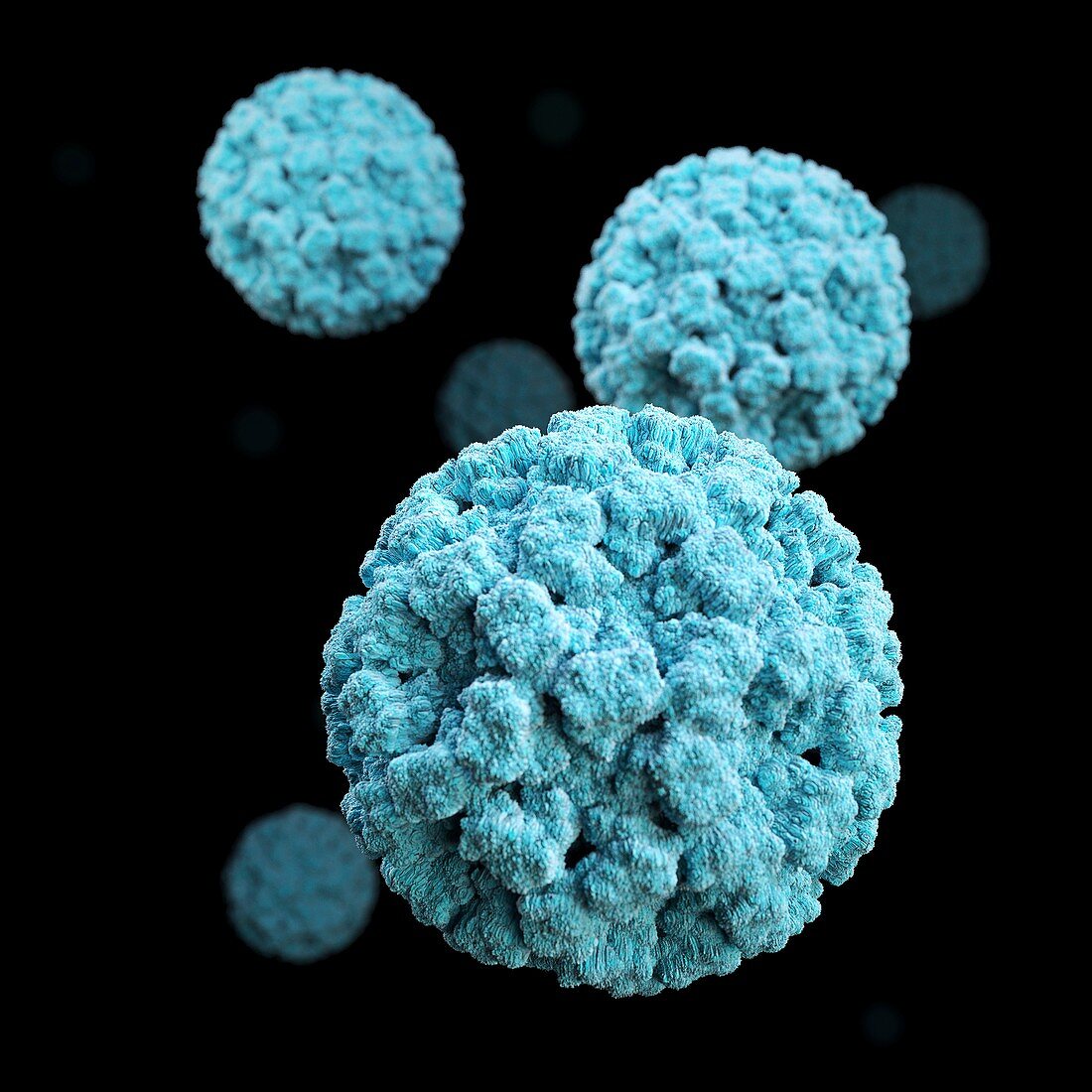 Norovirus particles, illustration