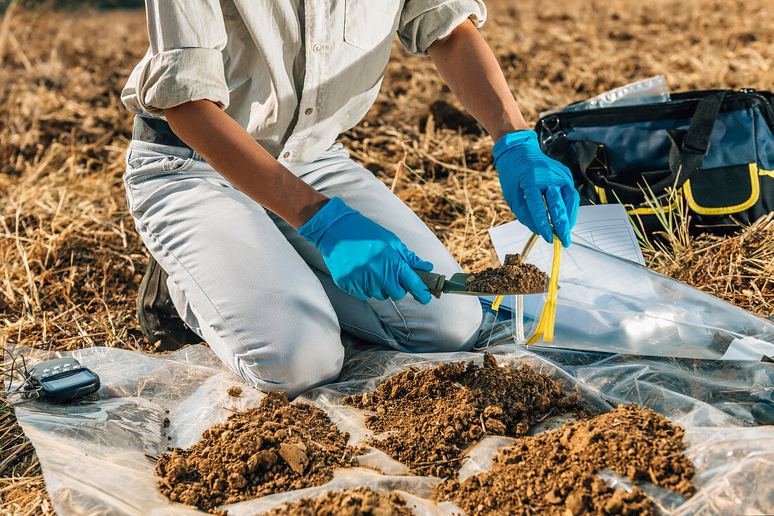 Soil scientist taking soil sample