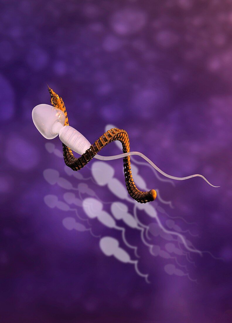 Nanobot and sperm, illustration