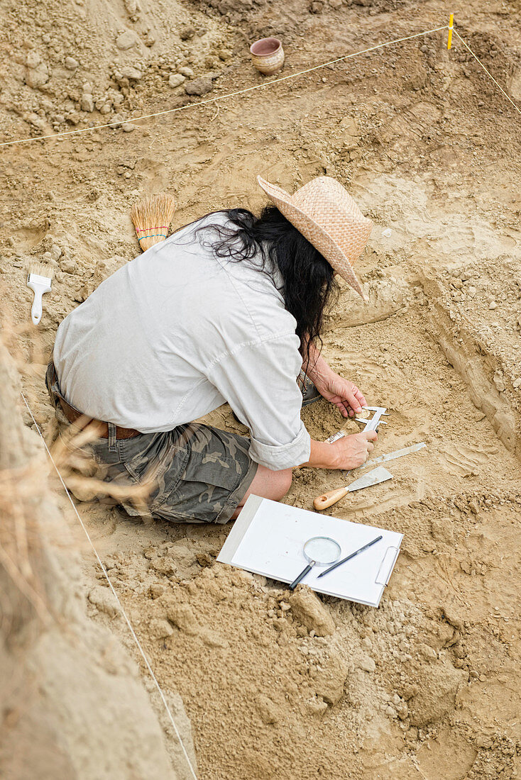 Archaeologist measuring excavated coin