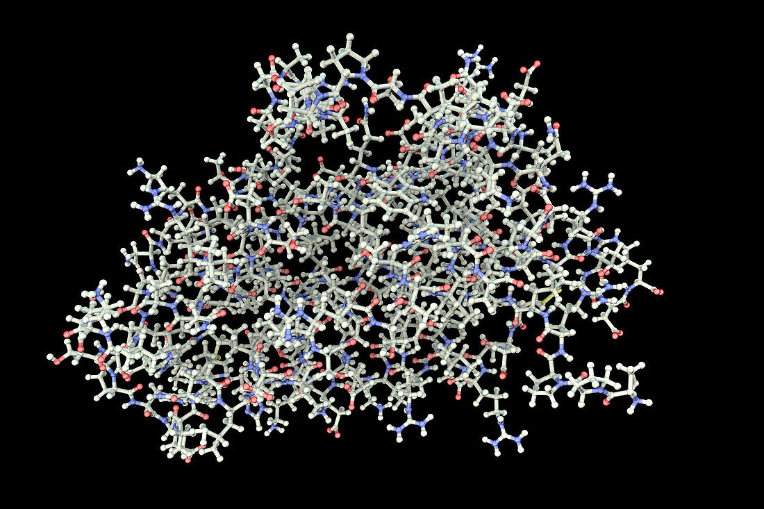 Erythropoietin hormone molecule, illustration
