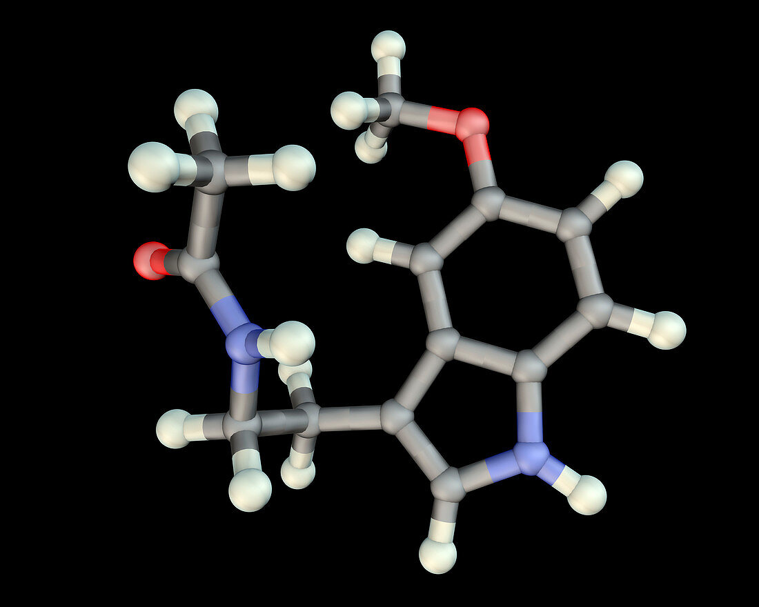 Melatonin hormone, molecular model