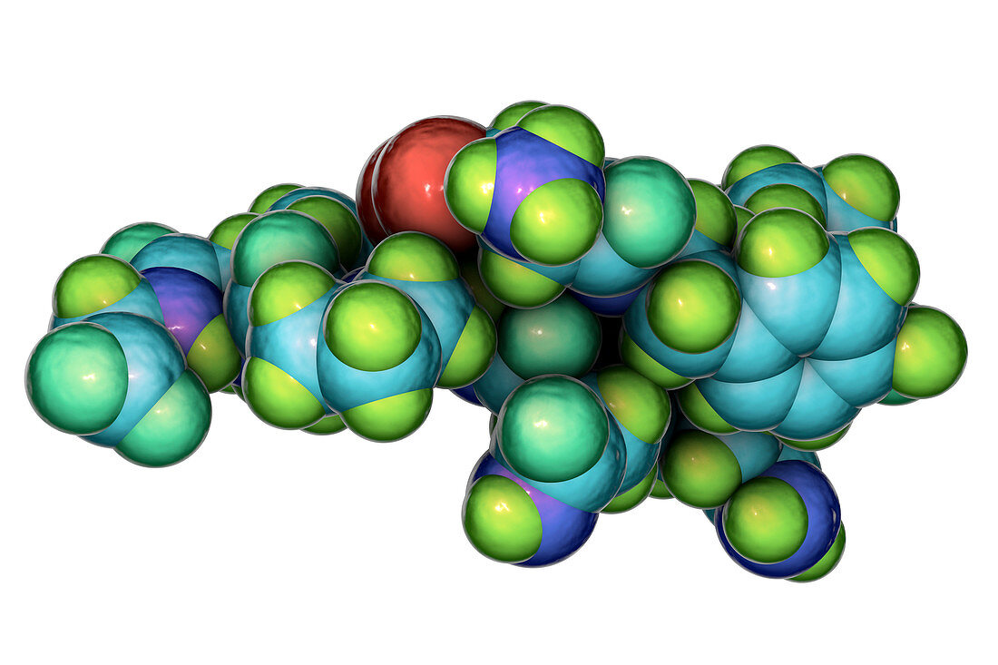 Oxytocin hormone, molecular model