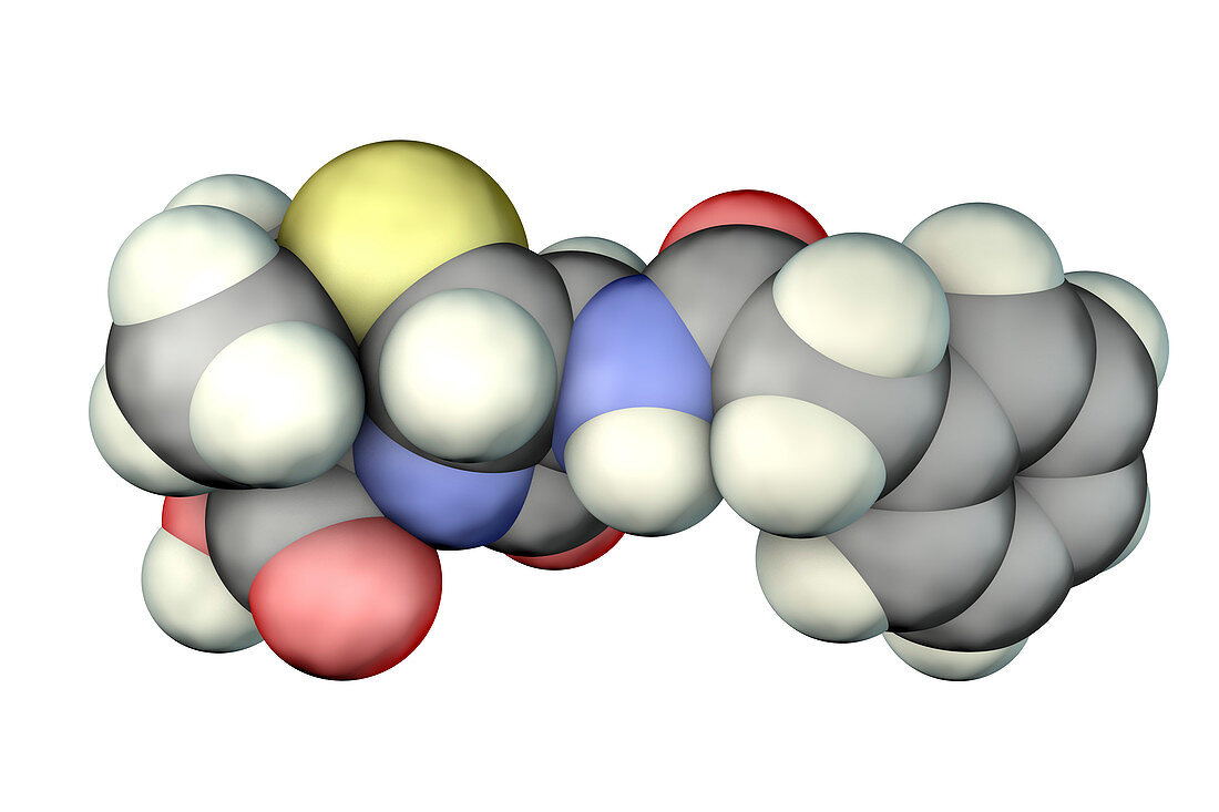 Penicillin antibiotic, molecular model