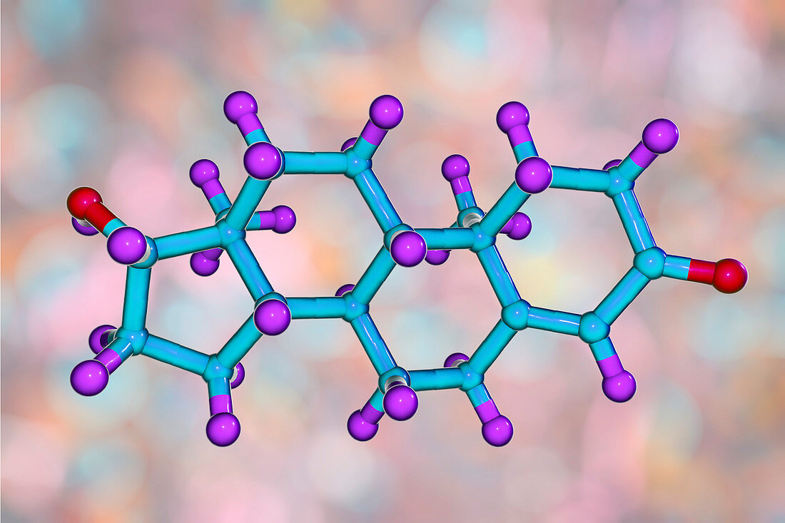 Testosterone hormone, molecular model